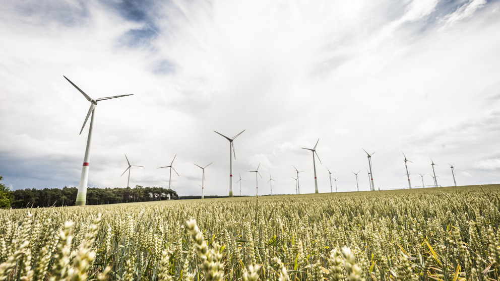 Europe is transitioning towards a renewable energy supply. Identifying trade-offs with other political goals and developing solutions is crucial to the success of this transformation.