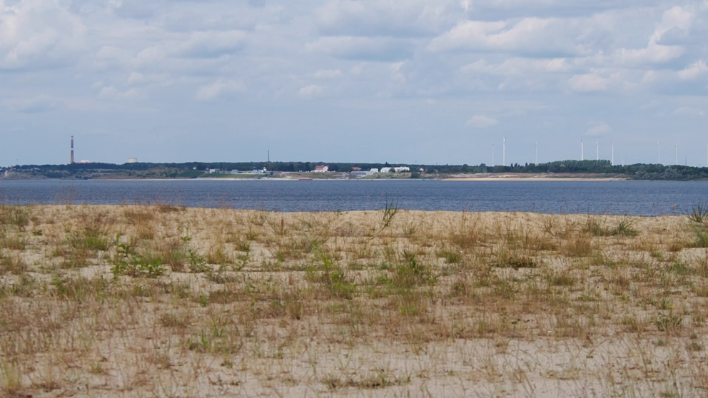 Zurück zur Natur? Einige Tagebaue in der Lausitz wurden in Seen verwandelt.